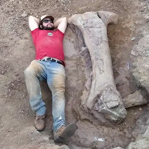 Dinosaurio gigante brasileño y pariente español