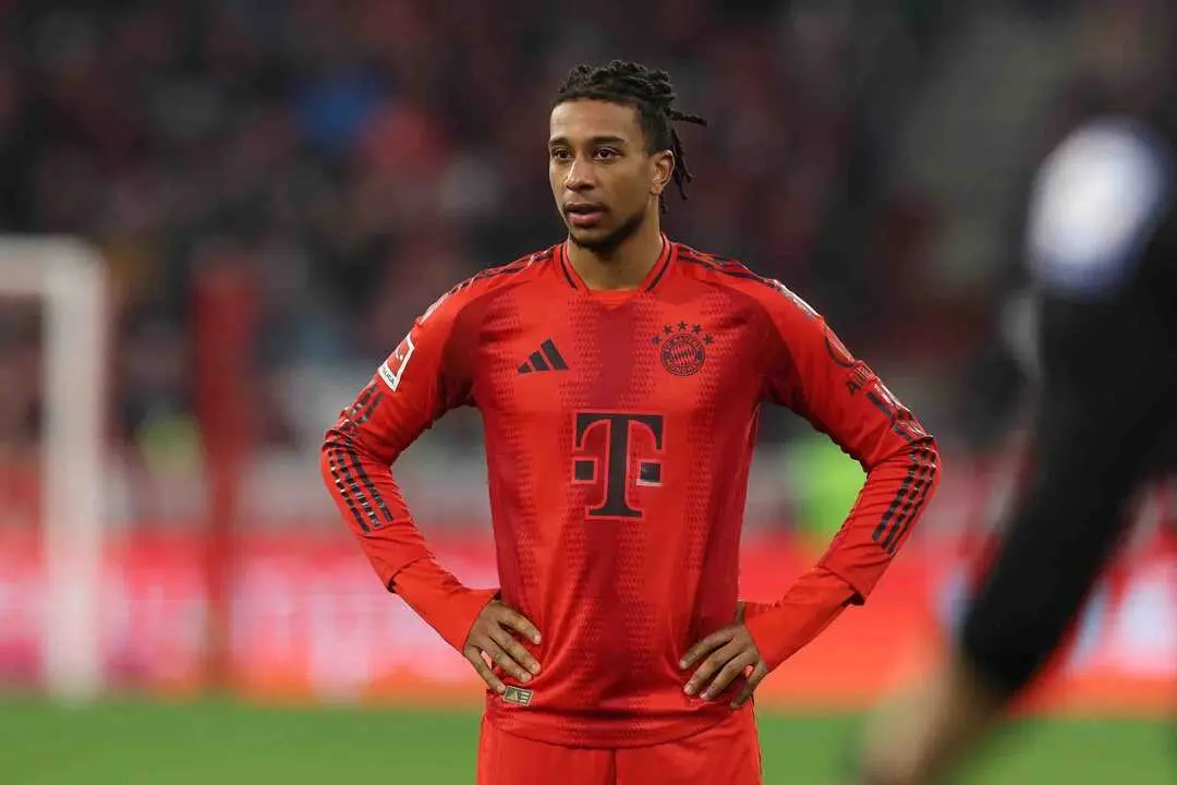 Imagen del artículo